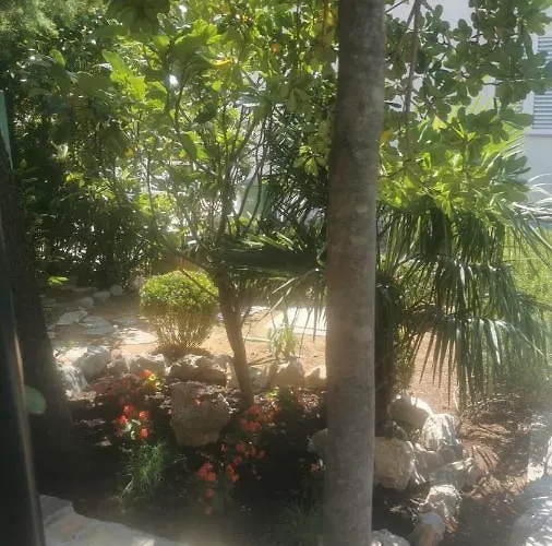 Mini House Mara Apartament *